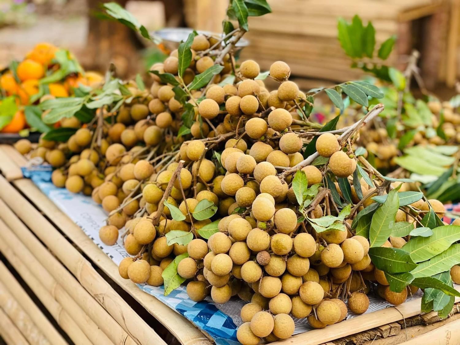 Đến Đăk H&agrave; mua n&ocirc;ng sản sạch- Ảnh 4.
