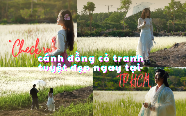 “Check in” cánh đồng cỏ tranh tuyệt đẹp ngay tại TP HCM