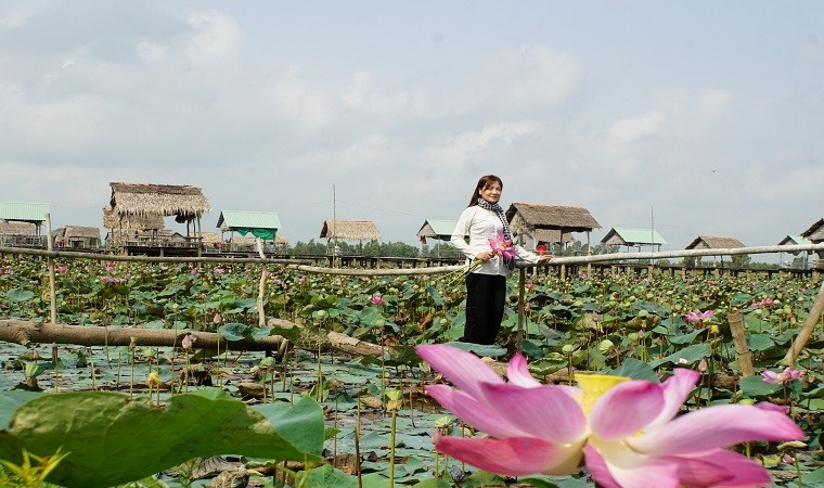 Những điểm ngắm sen tuyệt đẹp ở Đồng Tháp dịp lễ 30-4 và 1-5- Ảnh 3.