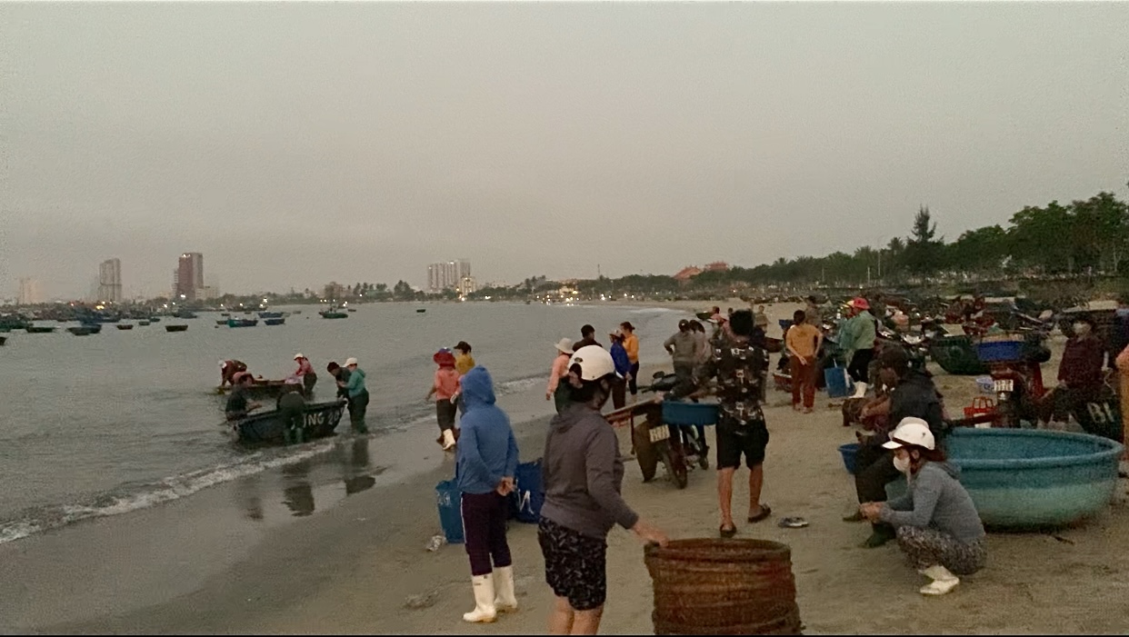Khu chợ ven biển Đ&agrave; Nẵng, chỉ b&aacute;n độc nhất một loại hải sản- Ảnh 1.