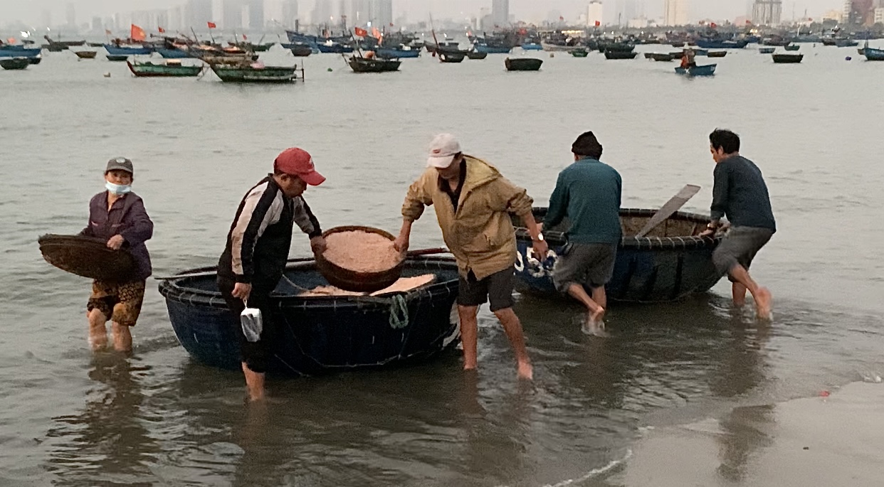 Khu chợ ven biển Đ&agrave; Nẵng, chỉ b&aacute;n độc nhất một loại hải sản- Ảnh 3.