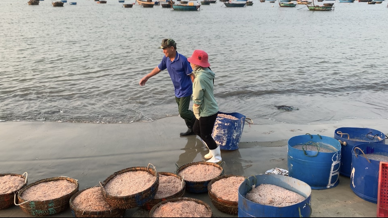 Khu chợ ven biển Đ&agrave; Nẵng, chỉ b&aacute;n độc nhất một loại hải sản- Ảnh 7.