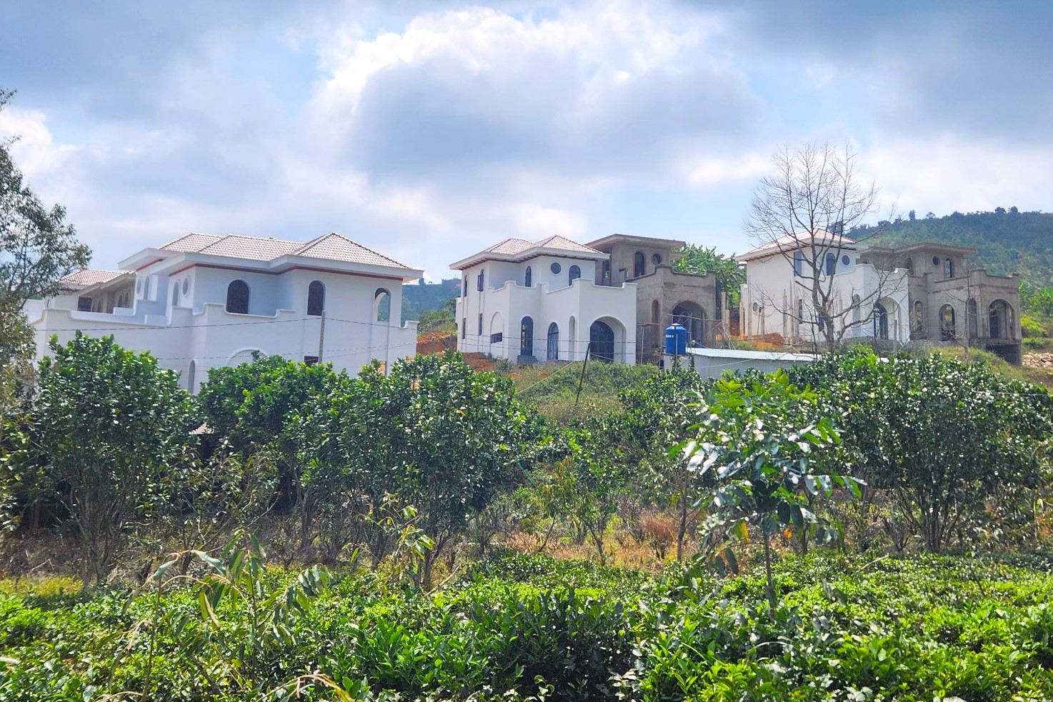 Khu biệt thự hoành tráng