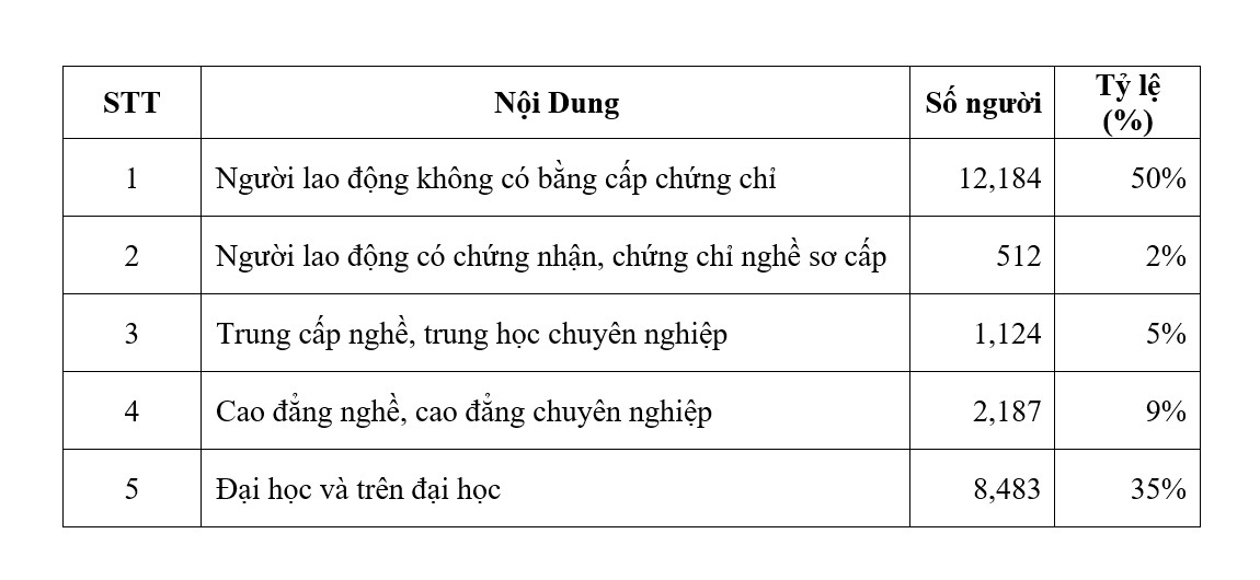 Lao động có trình độ mất việc chiếm tỉ lệ khá cao- Ảnh 2.