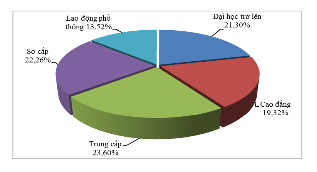 Lao động có trình độ mất việc chiếm tỉ lệ khá cao- Ảnh 5.