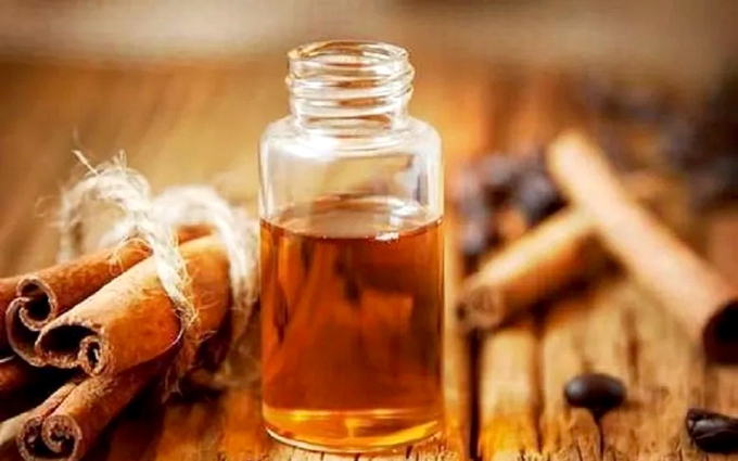 Hàng trăm tấn tinh dầu quế tồn kho vì "tắc đường" xuất khẩu