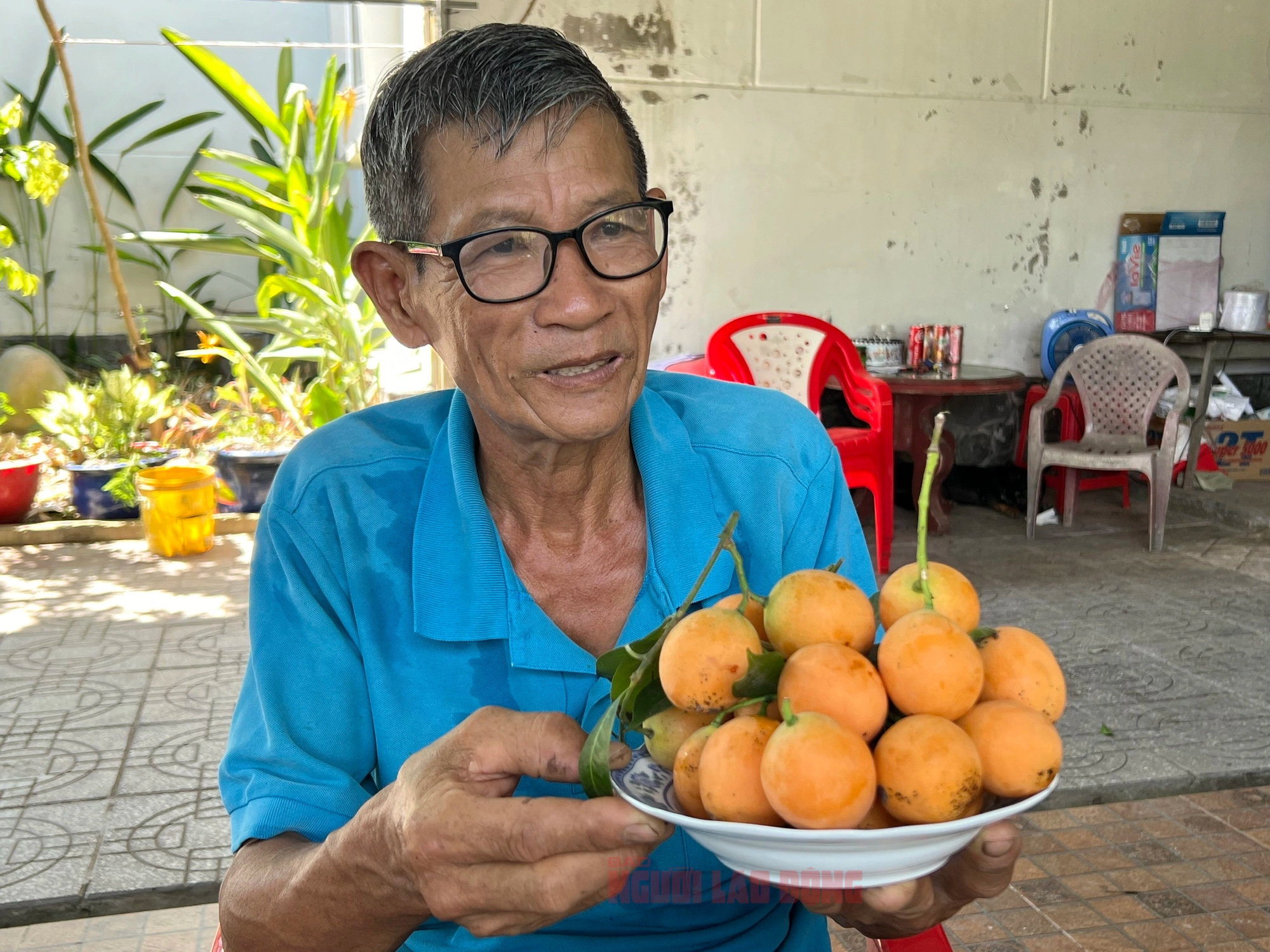 B&iacute; quyết trồng thanh tr&agrave; ngọt của l&atilde;o n&ocirc;ng ở miền T&acirc;y- Ảnh 8.