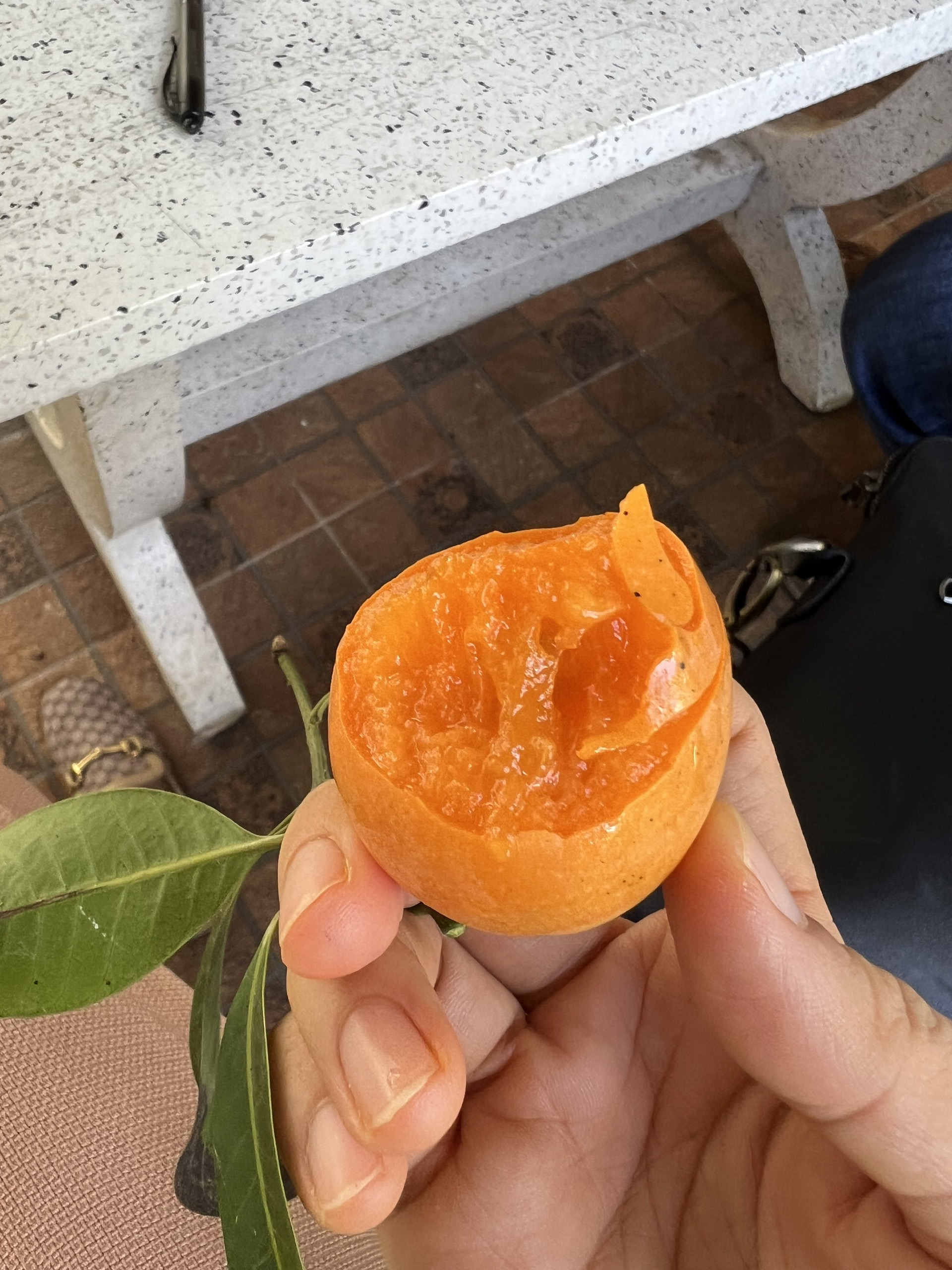 B&iacute; quyết trồng thanh tr&agrave; ngọt của l&atilde;o n&ocirc;ng ở miền T&acirc;y- Ảnh 7.