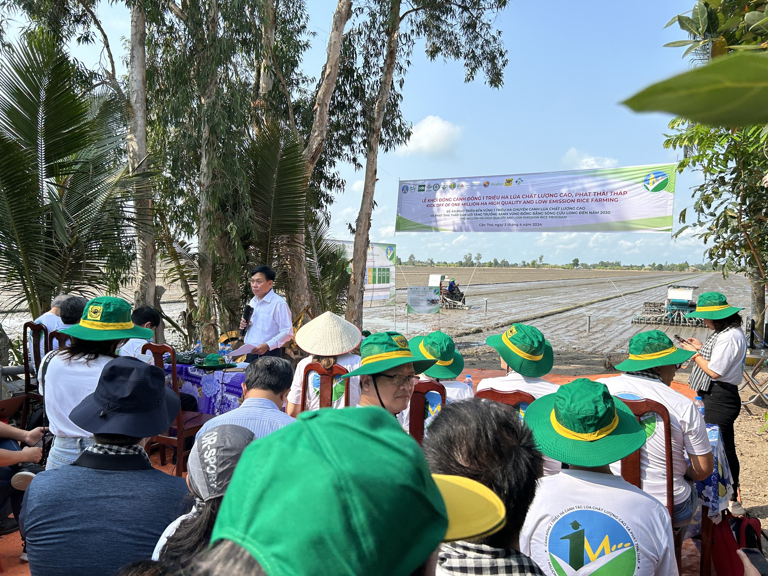 "L&uacute;a xanh", gạo ngon, n&ocirc;ng d&acirc;n lợi k&eacute;p- Ảnh 1.