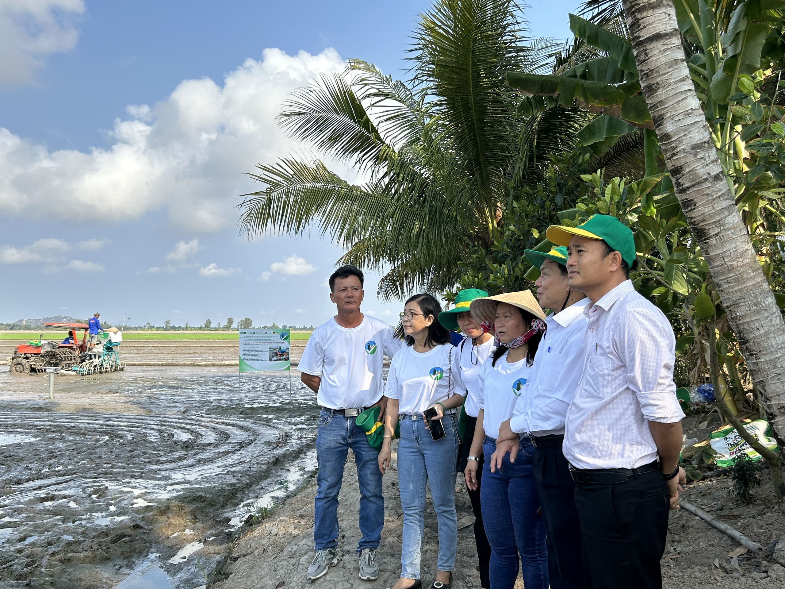 "L&uacute;a xanh", gạo ngon, n&ocirc;ng d&acirc;n lợi k&eacute;p- Ảnh 2.