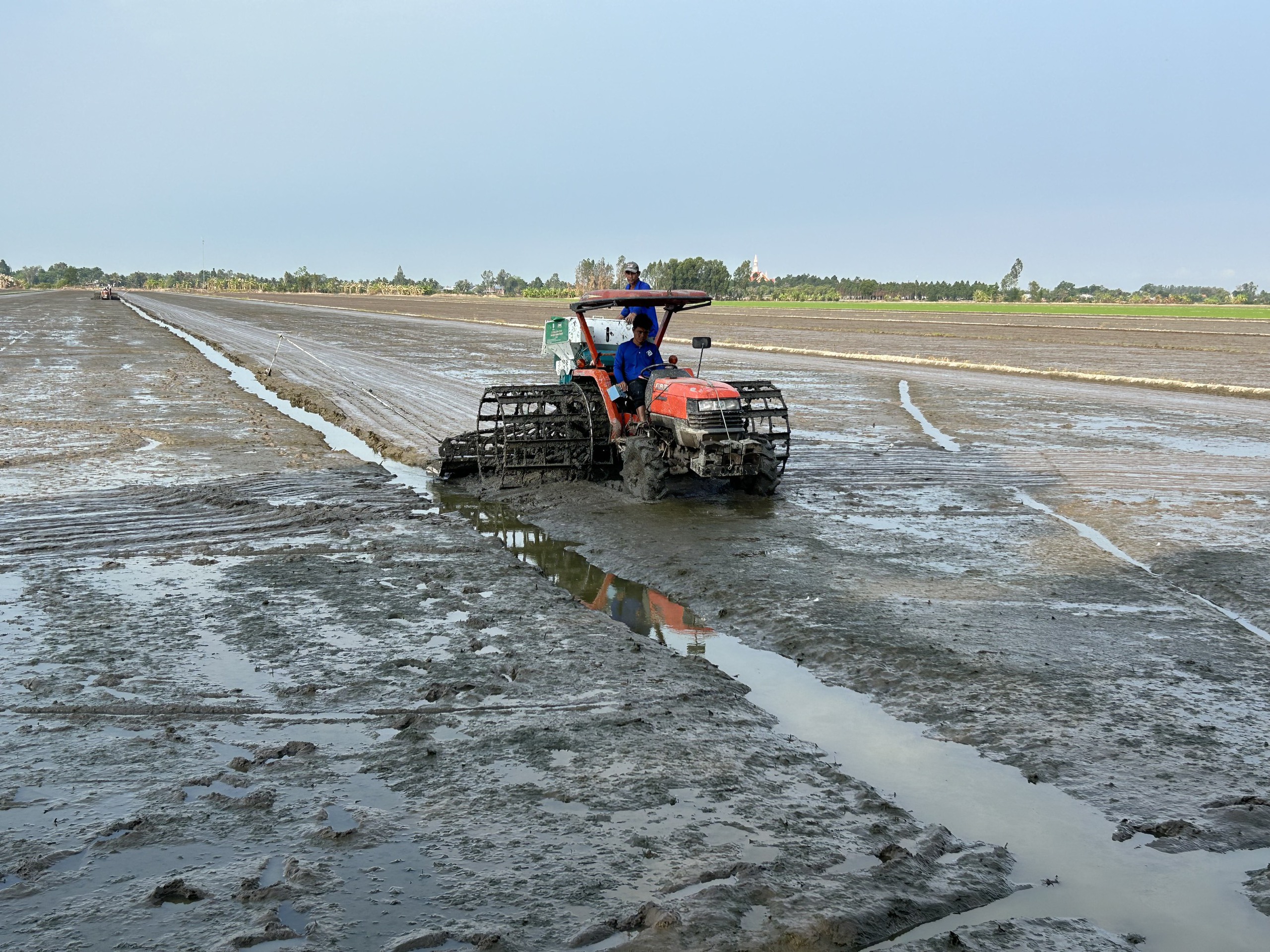 "L&uacute;a xanh", gạo ngon, n&ocirc;ng d&acirc;n lợi k&eacute;p- Ảnh 3.