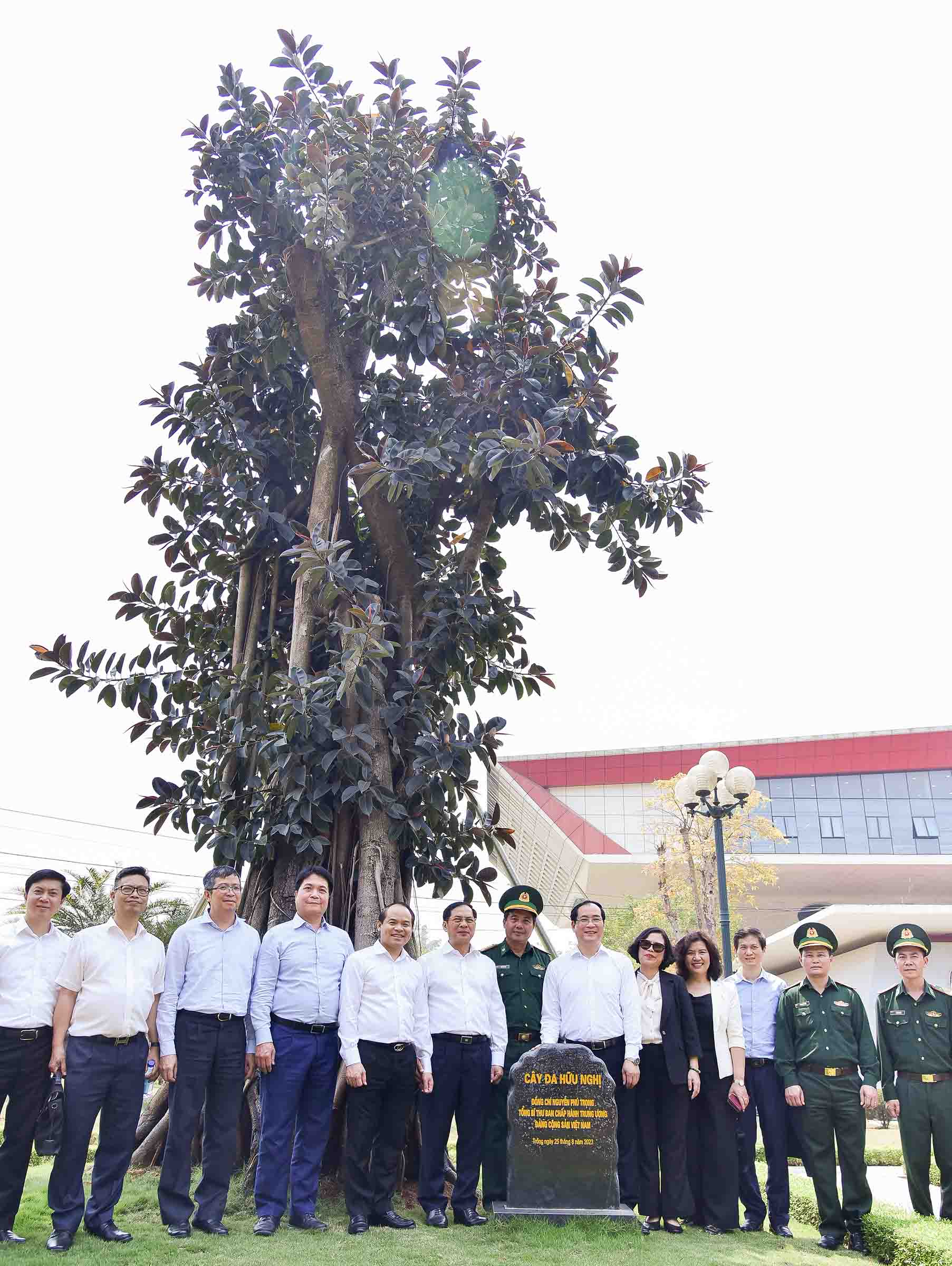 Đề nghị tạo thuận lợi cho n&ocirc;ng sản Việt Nam xuất khẩu sang Trung Quốc- Ảnh 6.