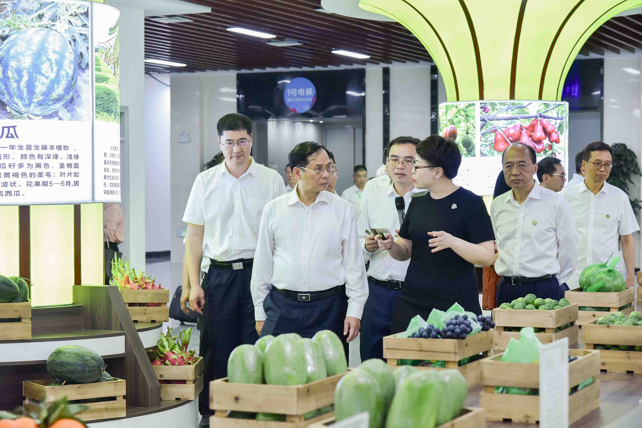 Đề nghị tạo thuận lợi cho n&ocirc;ng sản Việt Nam xuất khẩu sang Trung Quốc- Ảnh 8.
