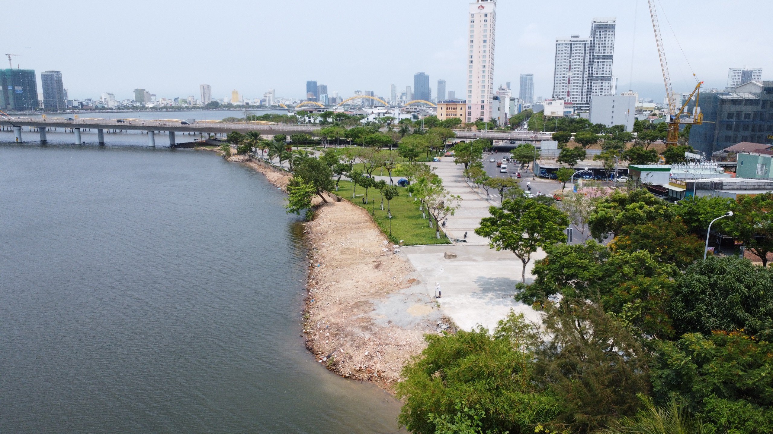 Đ&agrave; Nẵng: X&uacute;c dọn to&agrave;n bộ b&atilde;i x&agrave; bần "lấn" s&ocirc;ng H&agrave;n- Ảnh 1.