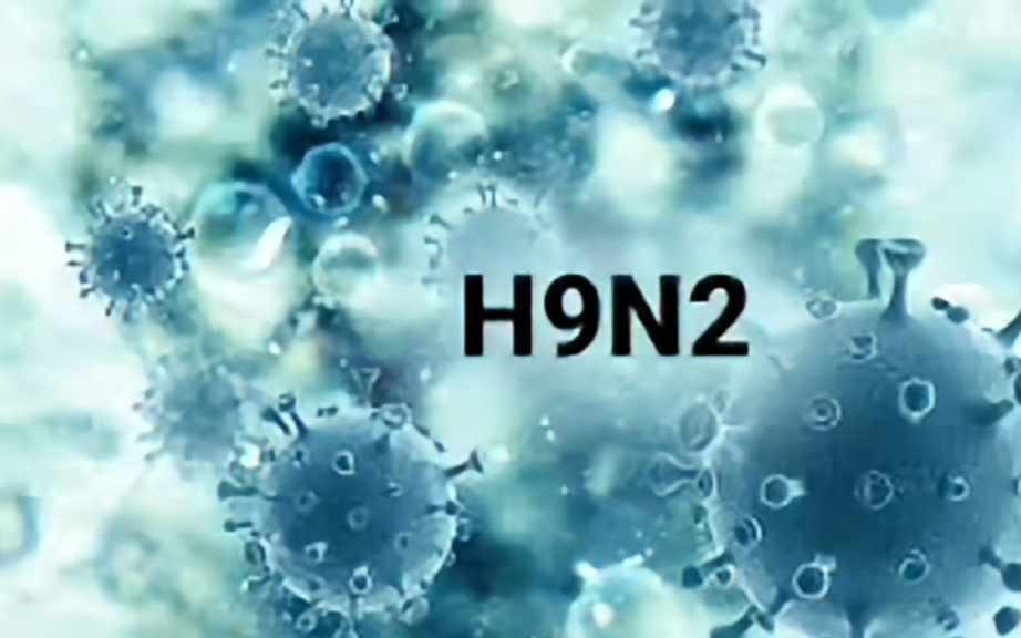 Thông tin thêm ca nhiễm cúm A/H9N2 đầu tiên tại Việt Nam