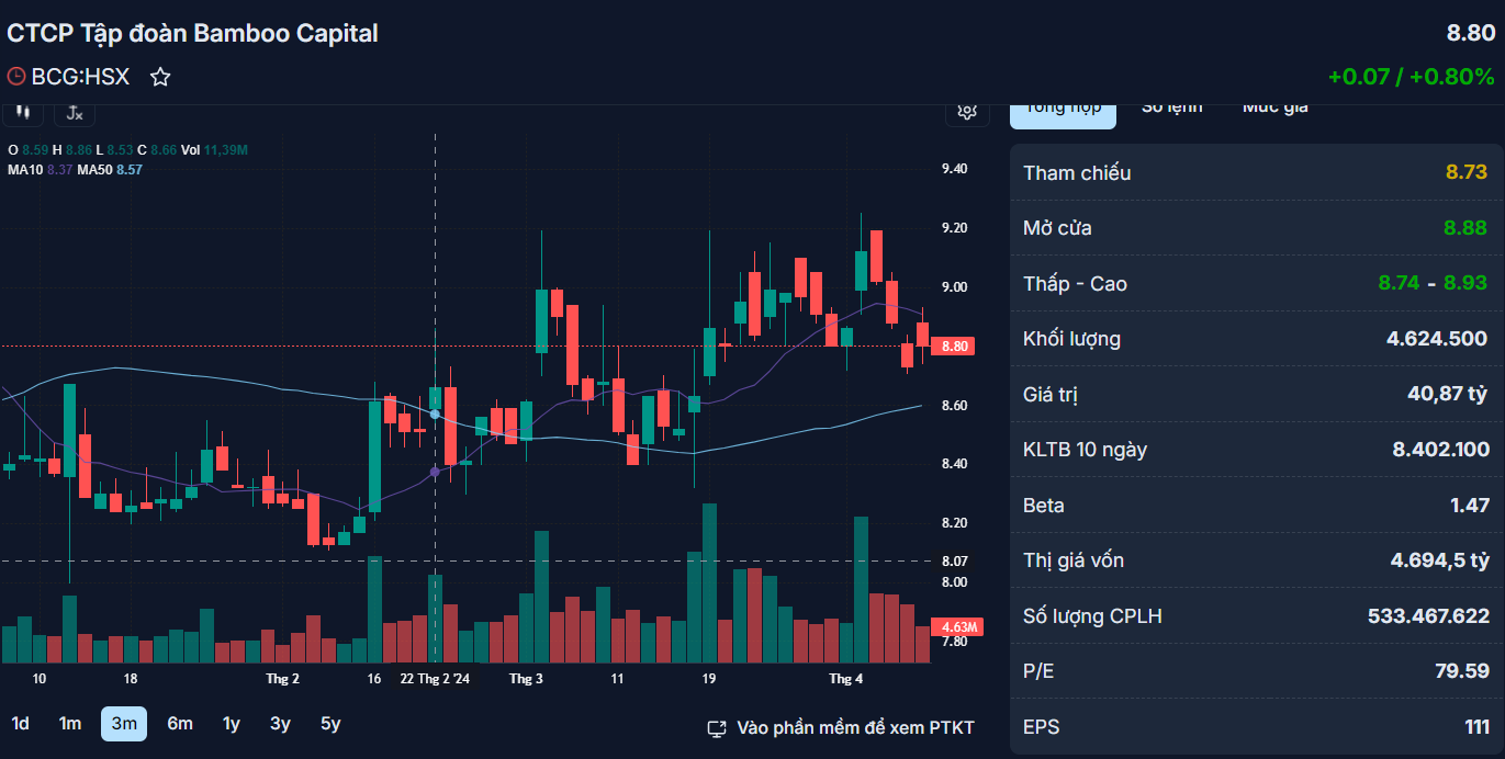 Tổng giám đốc mới của Bamboo Capital là ai?- Ảnh 1.