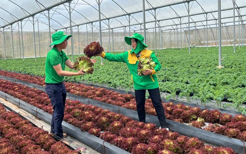 Chặn thực phẩm bẩn vào TP HCM