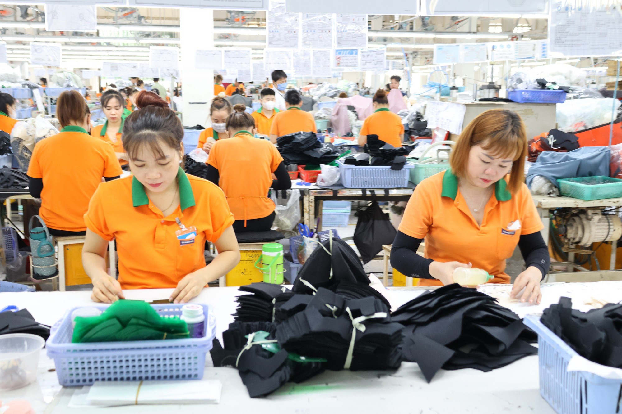 Ng&agrave;y 5-5 sẽ diễn ra sự kiện quan trọng của c&ocirc;ng nh&acirc;n B&igrave;nh Dương- Ảnh 1.