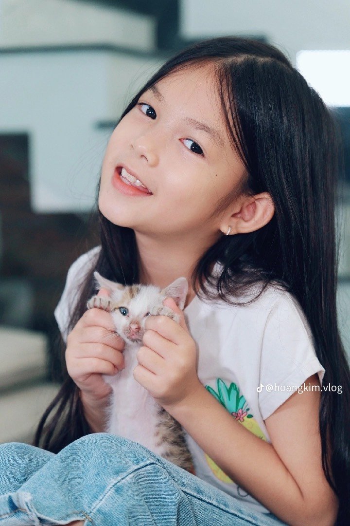 MC nh&iacute; Ho&agrave;ng Kim v&agrave; ước mơ của những ch&uacute; ch&oacute;, m&egrave;o hoang- Ảnh 5.