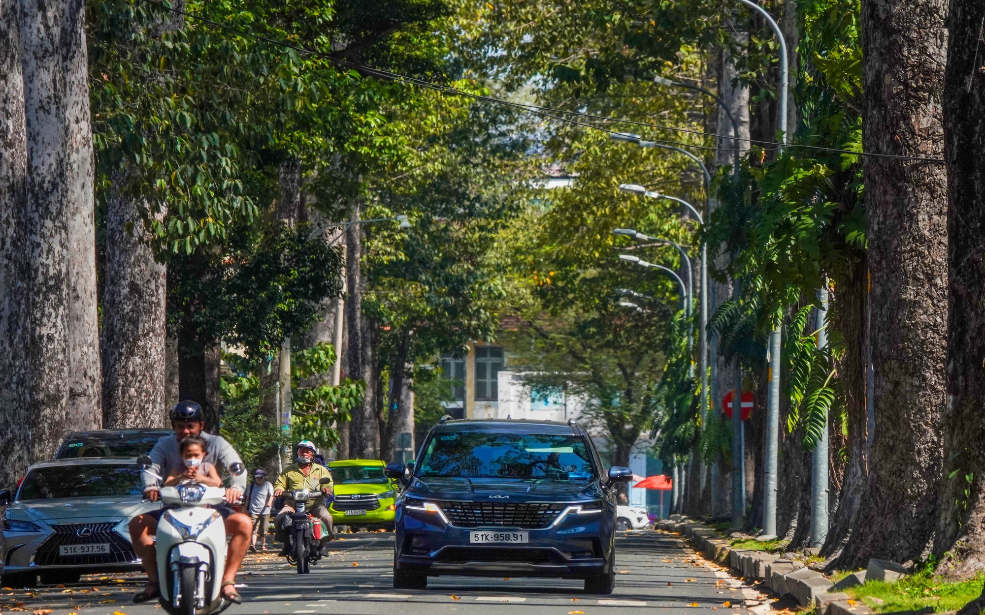 Bảo vệ cây xanh ngay từ khâu quản lý
