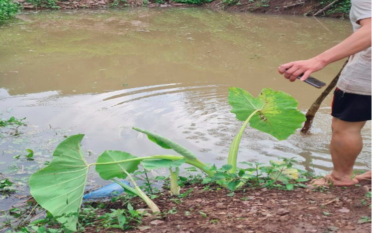Ba ông cháu tử vong dưới hố nước