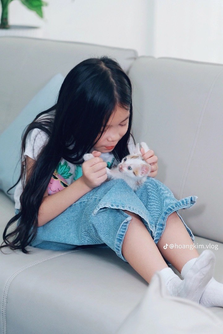 MC nh&iacute; Ho&agrave;ng Kim v&agrave; ước mơ của những ch&uacute; ch&oacute;, m&egrave;o hoang- Ảnh 4.