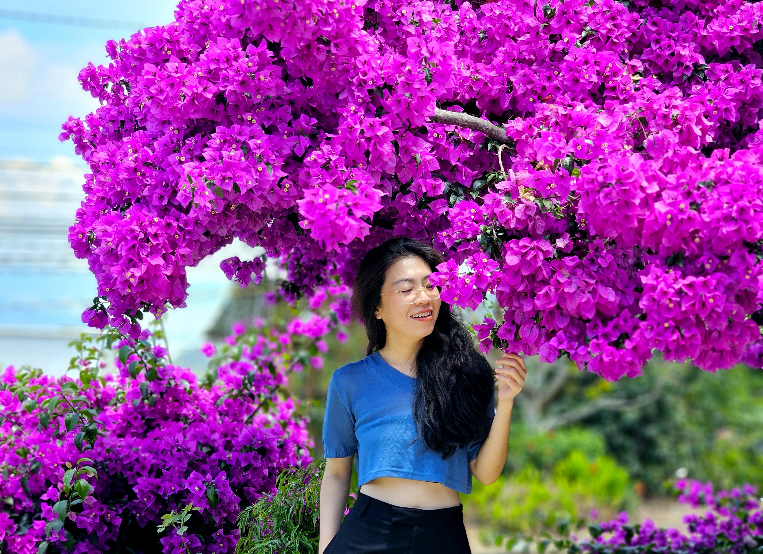 Ngắm c&acirc;y hoa giấy nổi tiếng nhất Đ&agrave; Lạt, ai đi qua cũng phải trầm trồ- Ảnh 19.