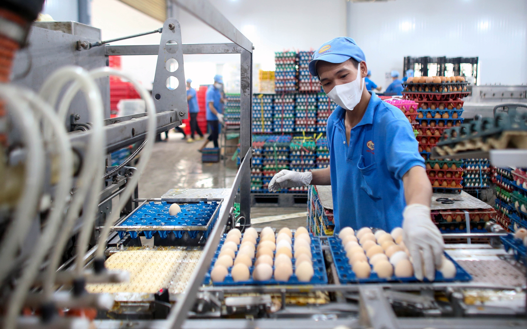 Ngại ngần tiếp cận vốn hỗ trợ, ưu đãi (*): Chính sách cần sát thực tiễn hơn