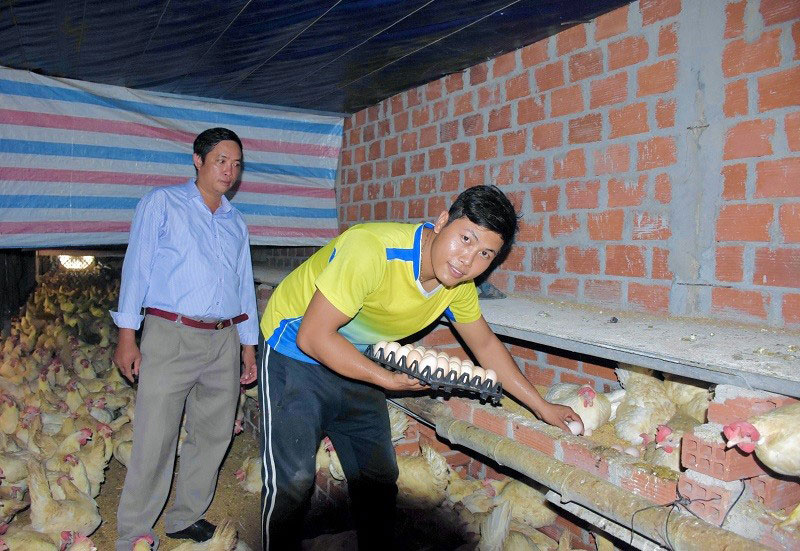 Anh Trần Văn Mười thu trứng gà trong phòng lạnh