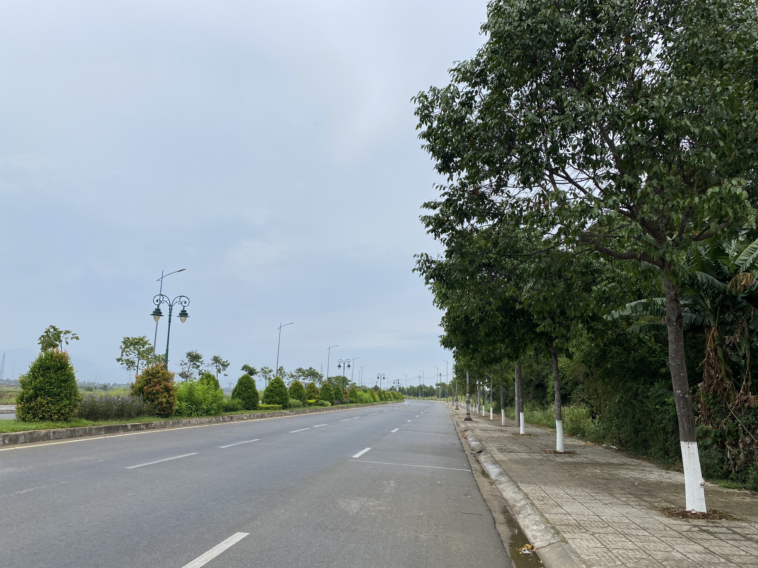 Quảng Ngãi báo cáo Bộ Công an những dự án cây xanh nào?- Ảnh 1.