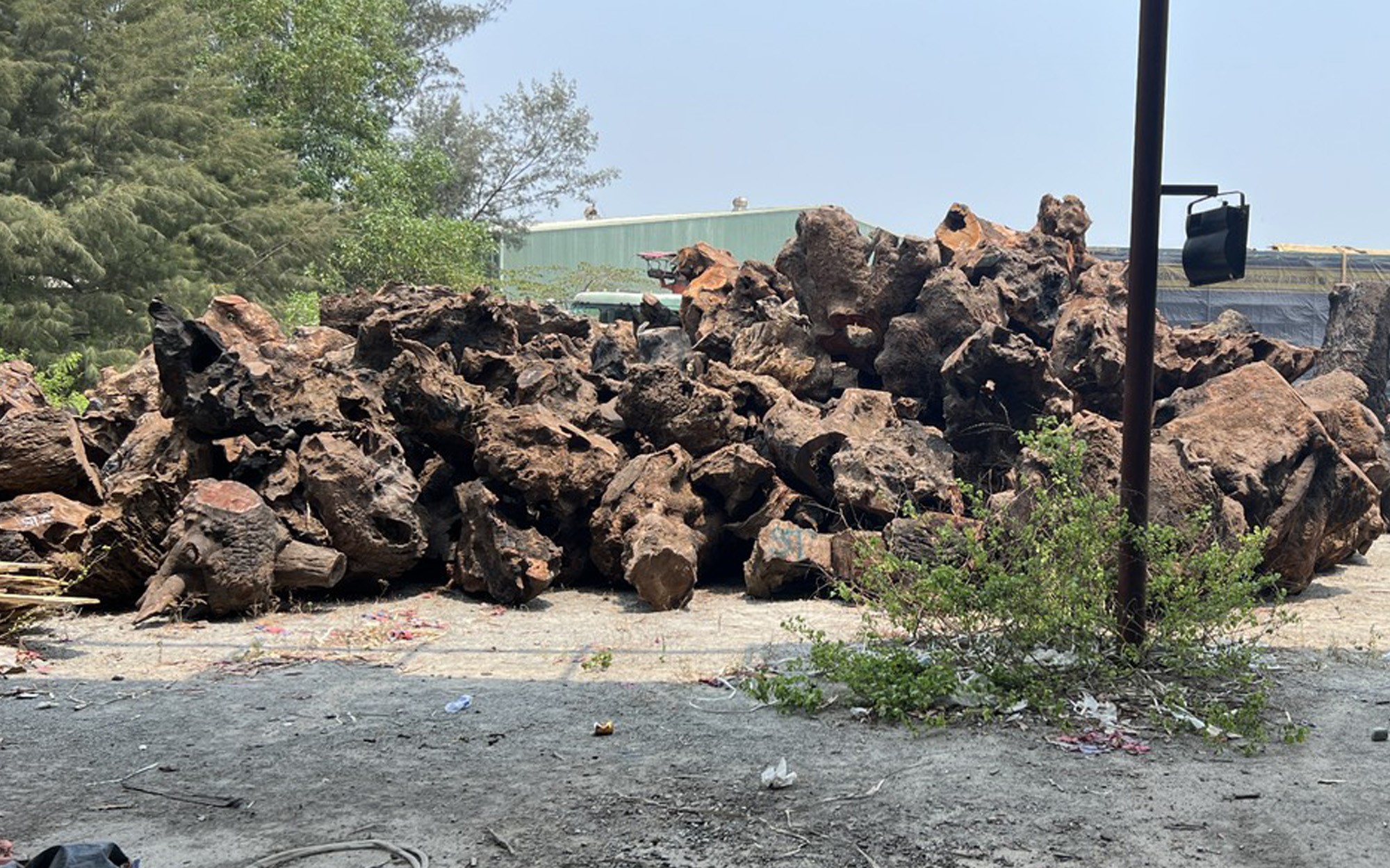 Quảng Nam: Ph&aacute;t hiện 5 xe đầu k&eacute;o vận chuyển gỗ tr&aacute;i ph&eacute;p - Ảnh 3.