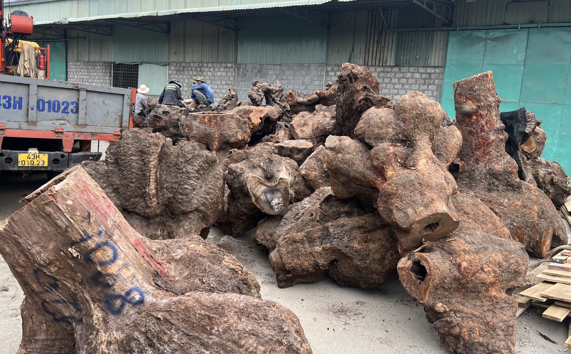 Quảng Nam: Ph&aacute;t hiện 5 xe đầu k&eacute;o vận chuyển gỗ tr&aacute;i ph&eacute;p - Ảnh 2.