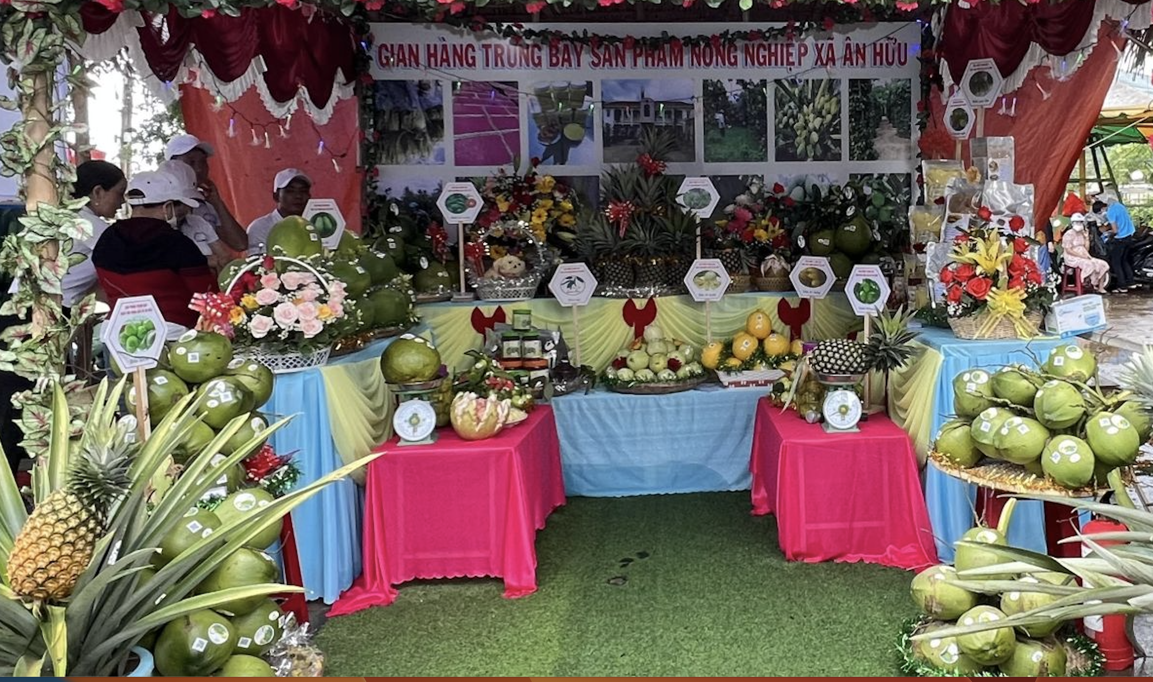 Tưng bừng Ng&agrave;y hội n&ocirc;ng sản tại &ldquo;thủ phủ&rdquo; c&acirc;y ăn quả của B&igrave;nh Định- Ảnh 1.