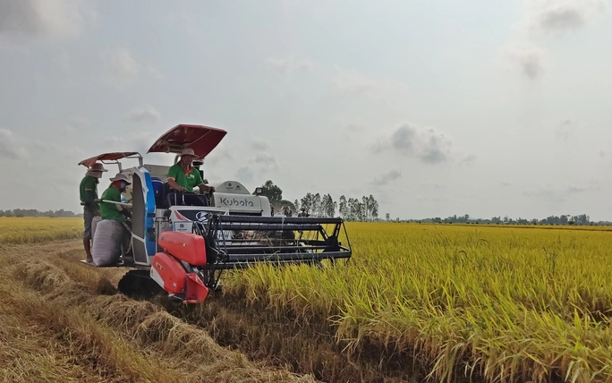 Giúp nông dân thêm lợi nhuận