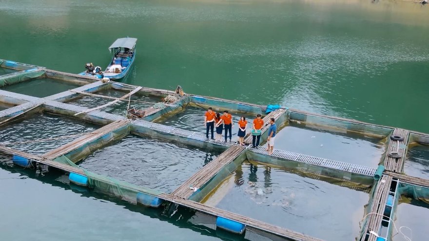 Agribank đồng h&agrave;nh doanh nghiệp n&acirc;ng cao năng lực cạnh tranh trong xuất khẩu l&acirc;m &ndash; thủy sản- Ảnh 1.