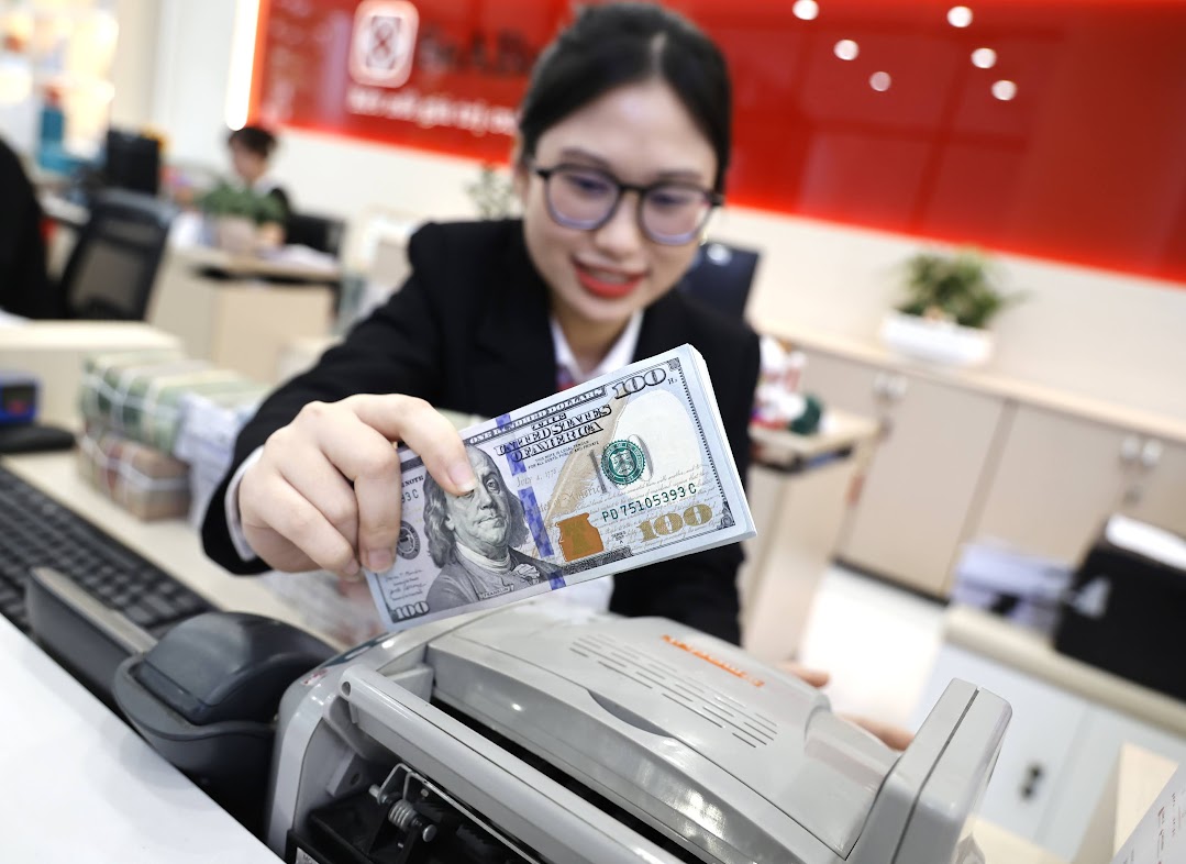 Diễn biến tích cực của tỉ giá USD/VNĐ- Ảnh 1.