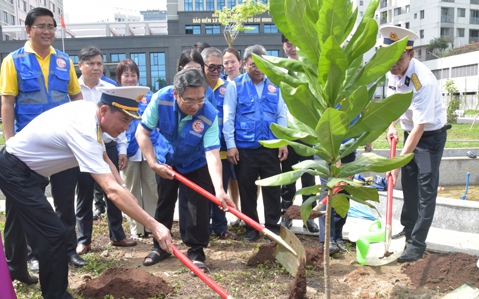 Trồng bàng vuông từ Trường Sa tại quận 7 và BHXH TP HCM
