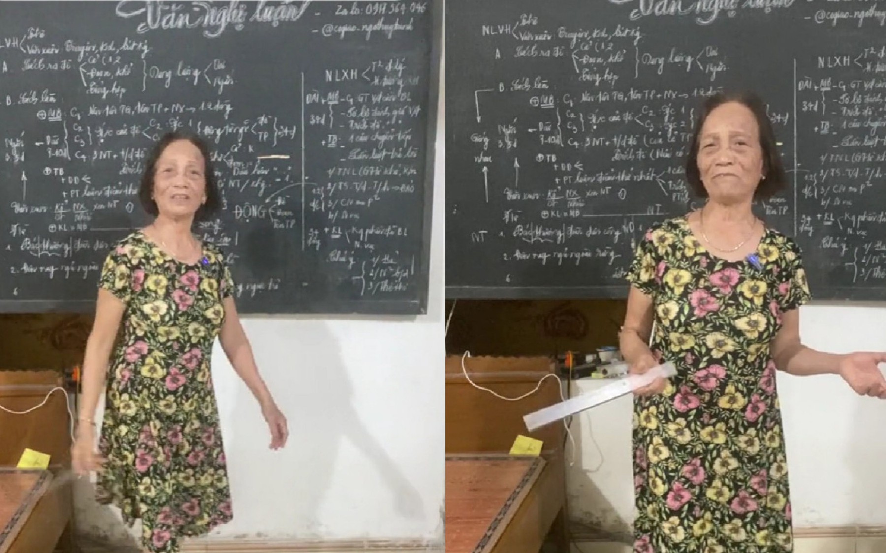 Cô giáo về hưu bị "ném đá" trên mạng: Tôi không để tâm!