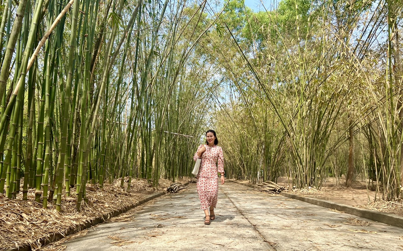 Khu bảo tồn tre độc đáo, hiếm thấy