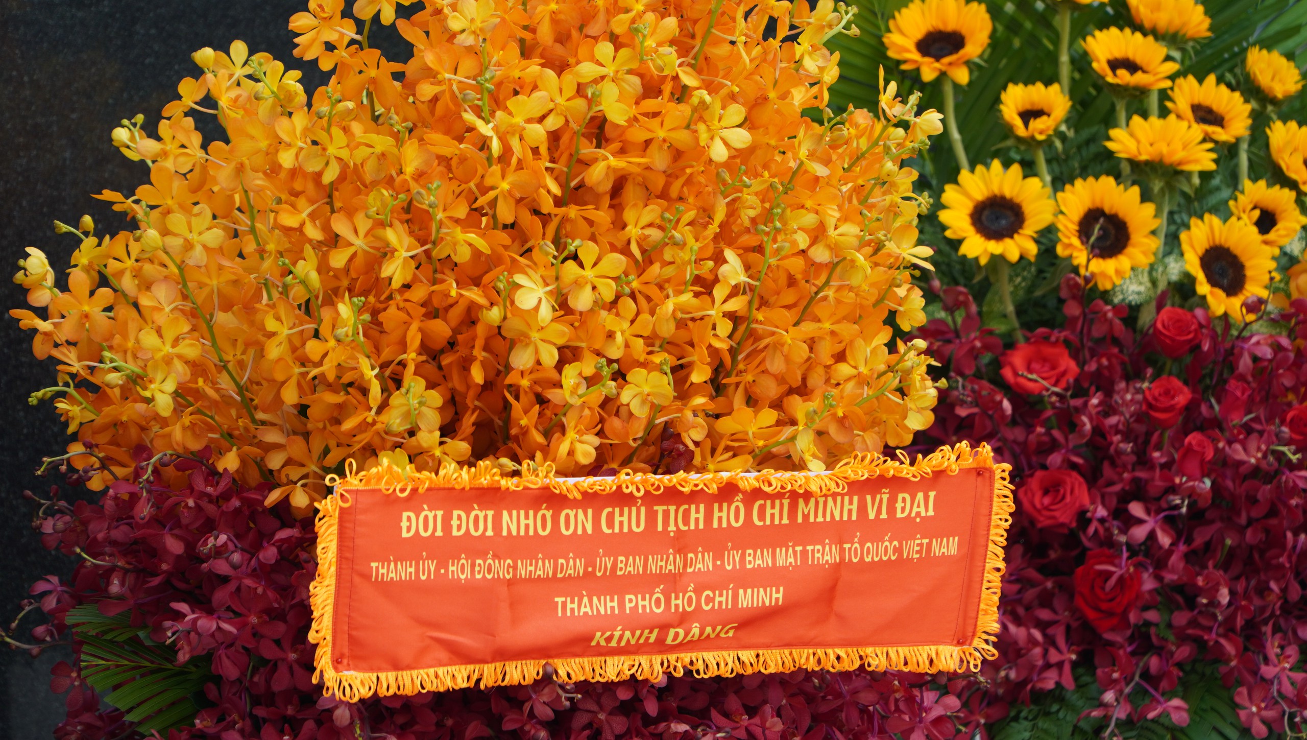 Tri &acirc;n c&ocirc;ng lao của Chủ tịch Hồ Ch&iacute; Minh- Ảnh 4.