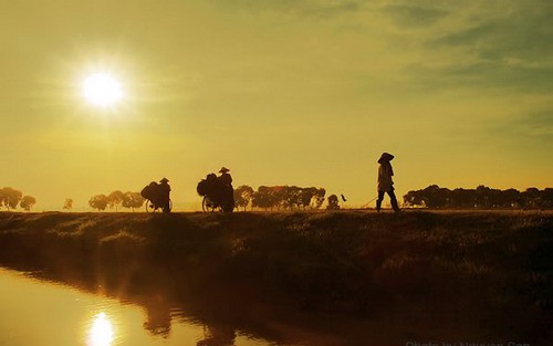 Những buổi chiều cổ tích