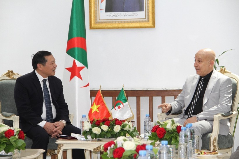 Algeria mong muốn th&uacute;c đẩy hợp t&aacute;c với Việt Nam tr&ecirc;n nhiều lĩnh vực- Ảnh 3.