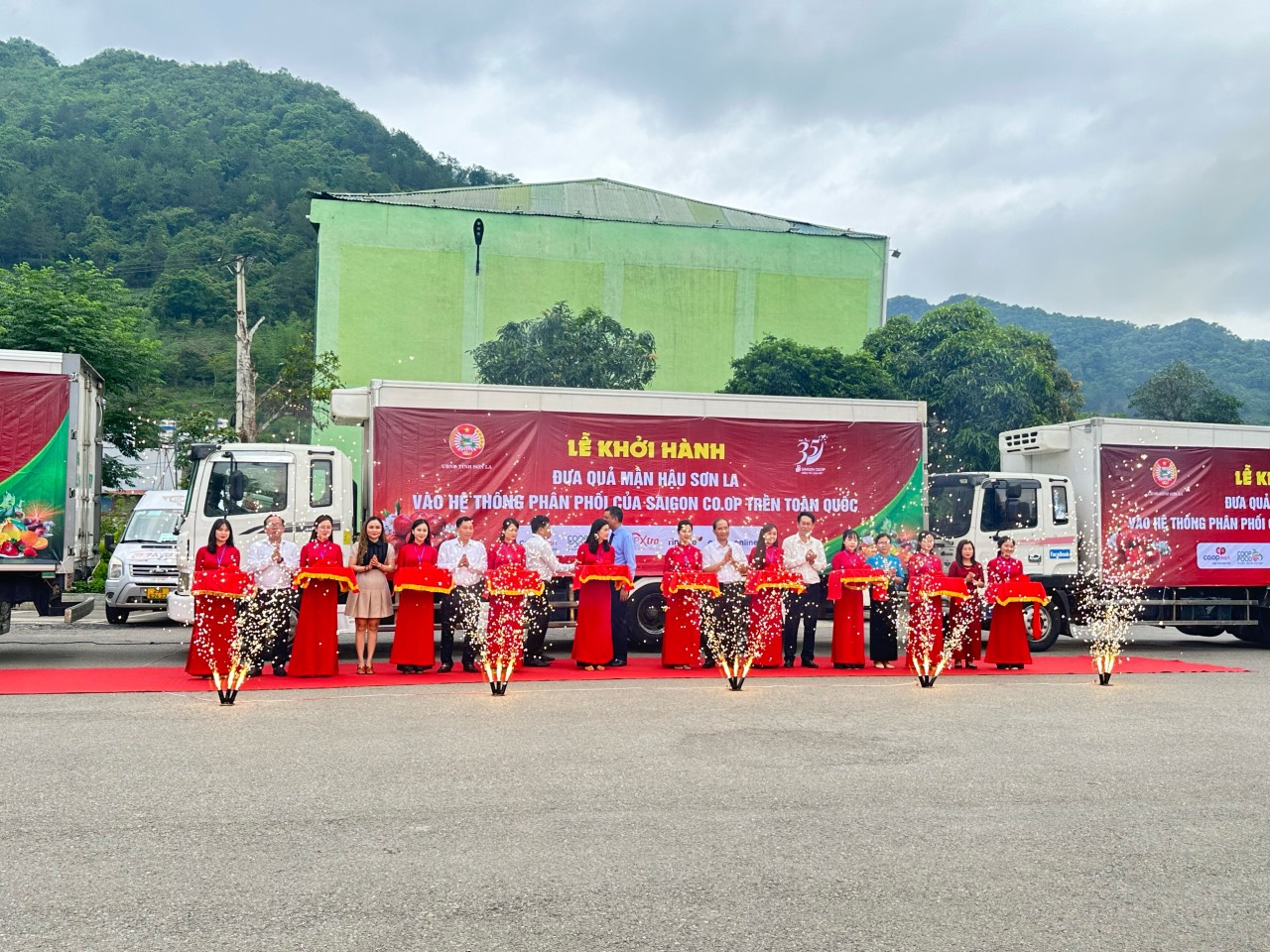 Khoảng 1.000 tấn mận hậu Sơn La chuẩn VietGAP bán giá ưu đãi trong siêu thị Saigon Co.op
- Ảnh 1.