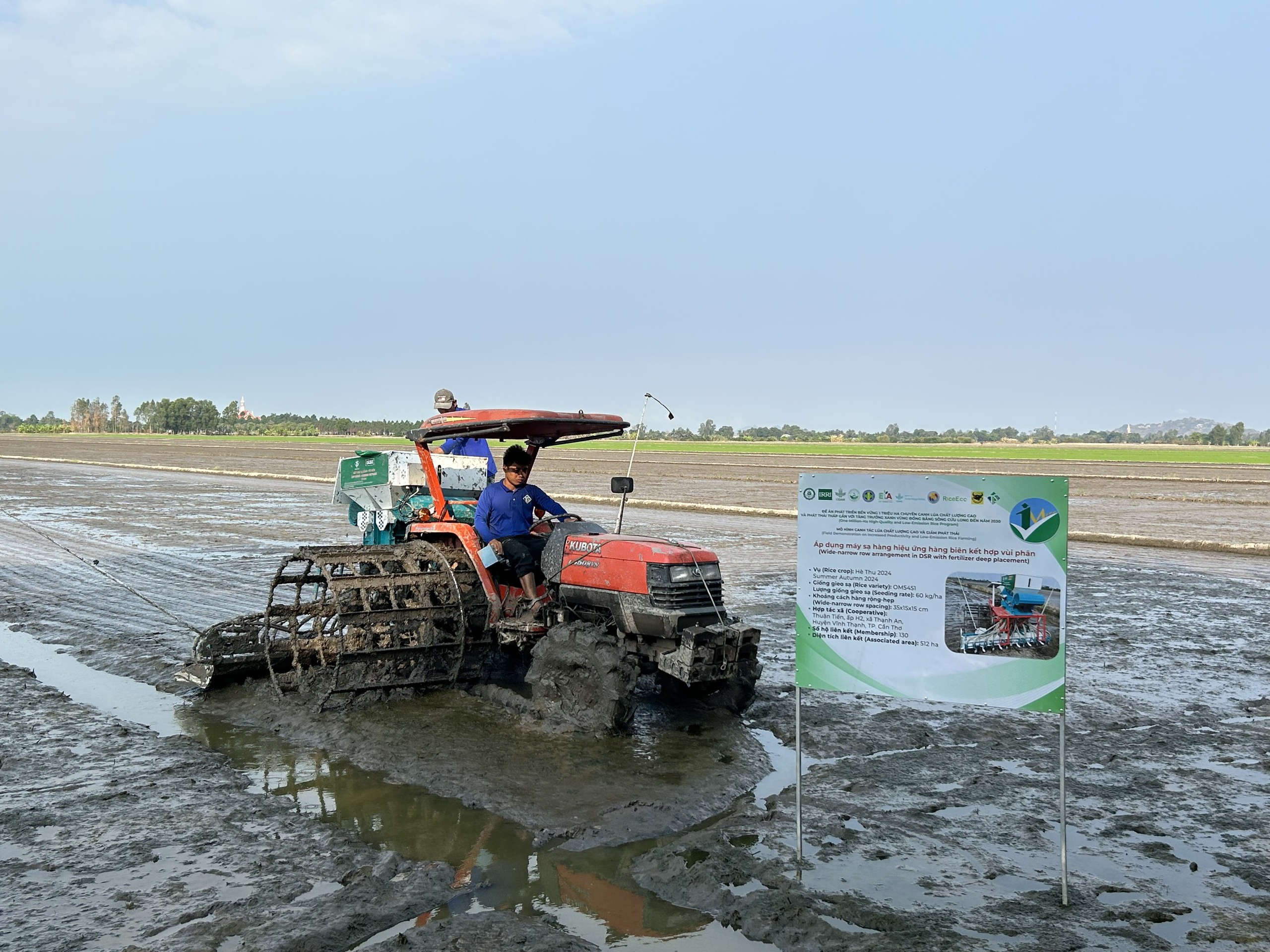 Việc phát triển liên kết bền vững chuỗi giá trị lúa gạo sẽ mang lại lợi ích cho các bên tham gia