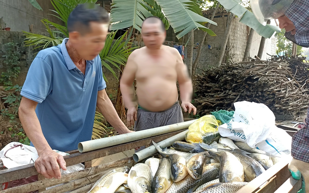 Hàng chục tấn cá lồng chết bất thường trên sông- Ảnh 1.