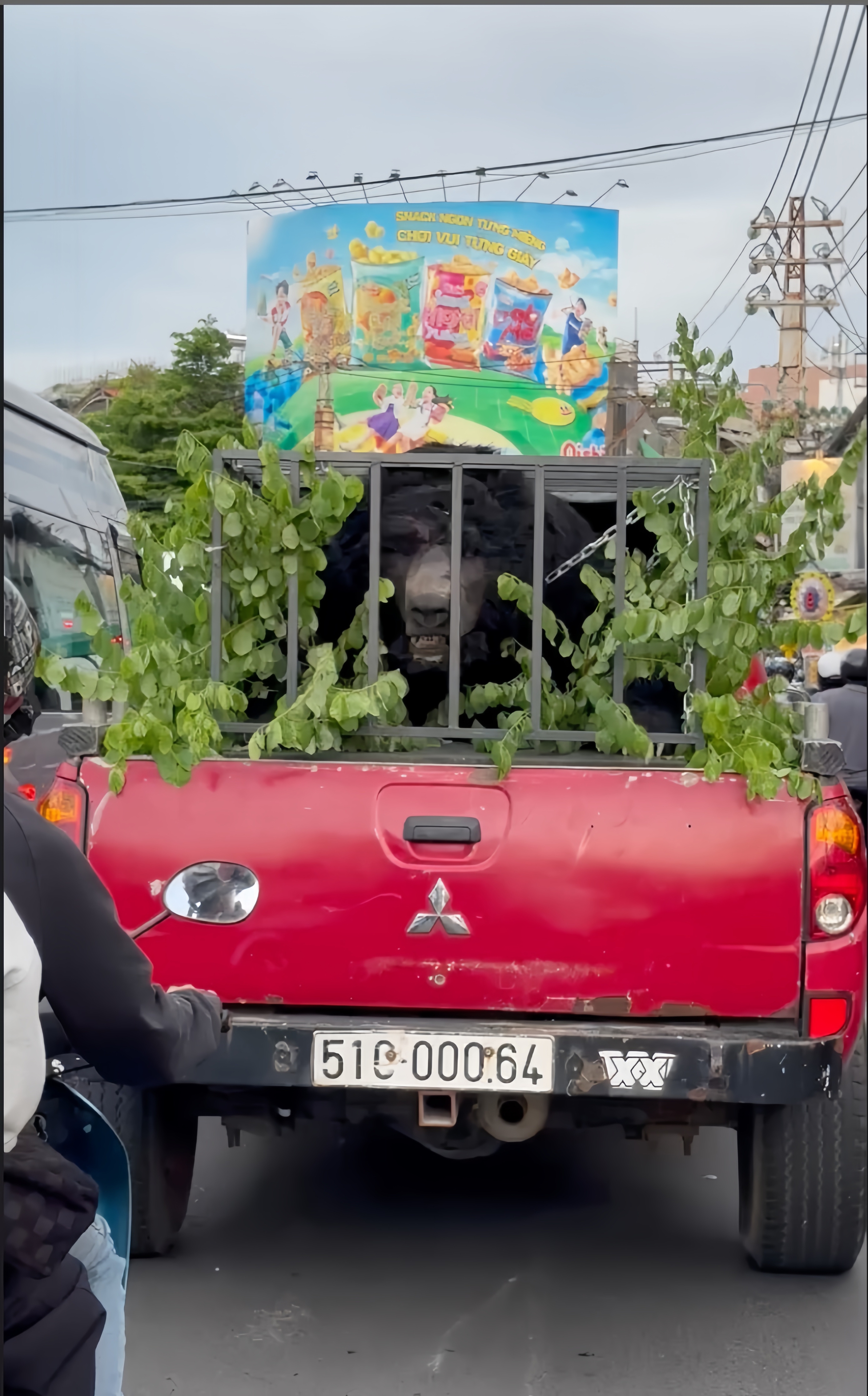 Người dân hú hồn vì