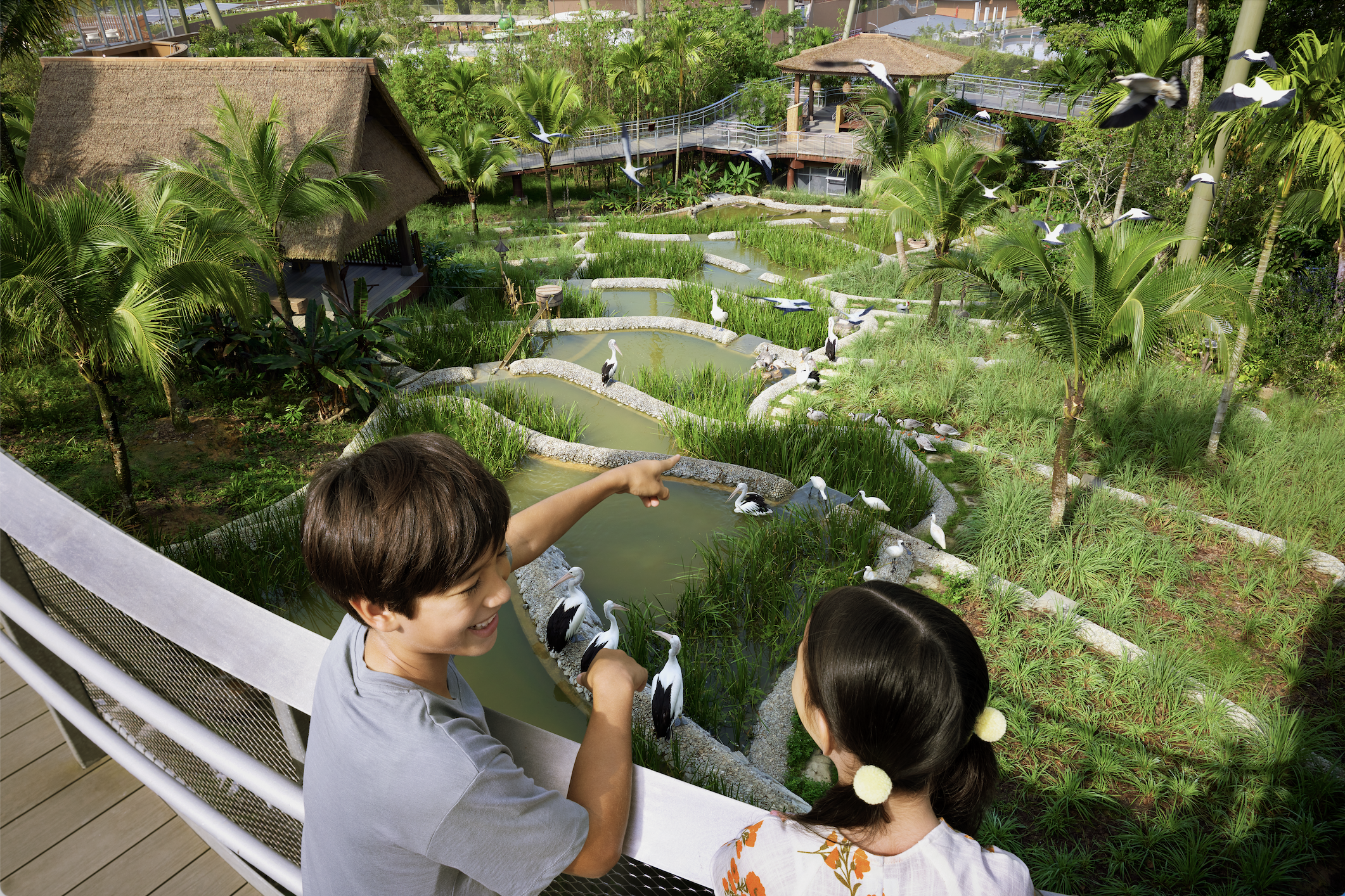 Vừa thưởng thức tr&agrave; chiều, vừa ngắm hồng hạc t&igrave;nh tự tại Singapore- Ảnh 21.