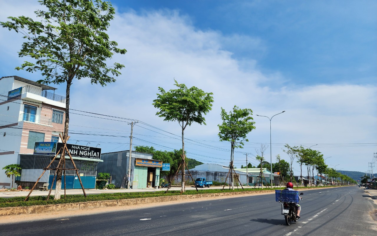 V&igrave; sao TP HCM y&ecirc;u cầu nhiều đơn vị cung cấp hồ sơ về c&acirc;y xanh cho cơ quan điều tra Bộ C&ocirc;ng an?