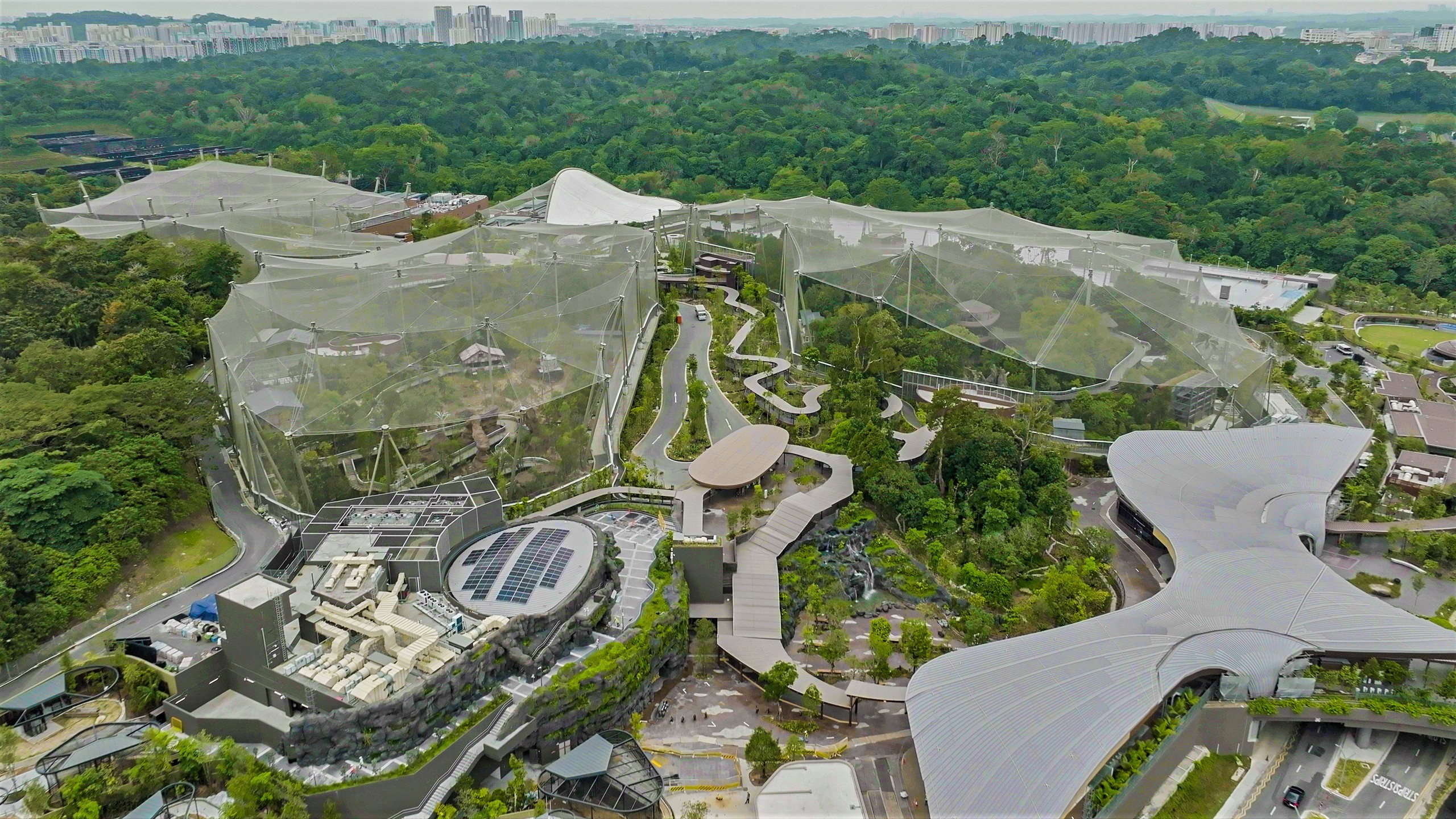 Vừa thưởng thức tr&agrave; chiều, vừa ngắm hồng hạc t&igrave;nh tự tại Singapore- Ảnh 24.