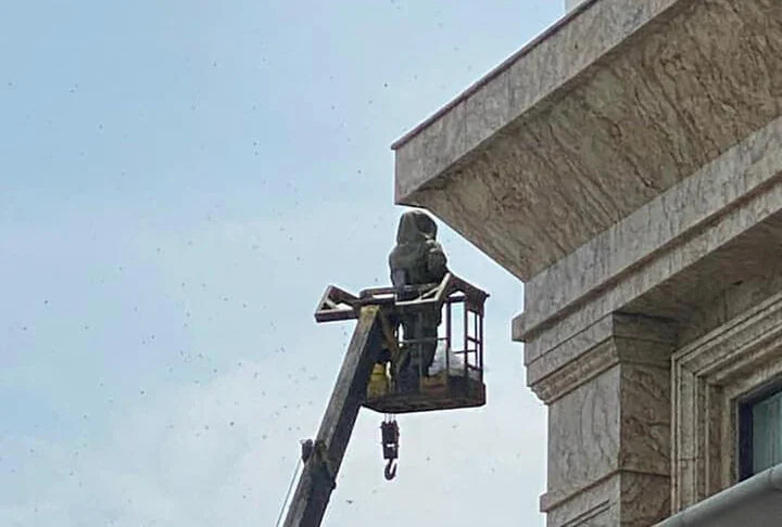 Dừng đèn đỏ, 3 mẹ con bị đàn ong từ khách sạn bay ra đốt, phải nhập viện- Ảnh 2.